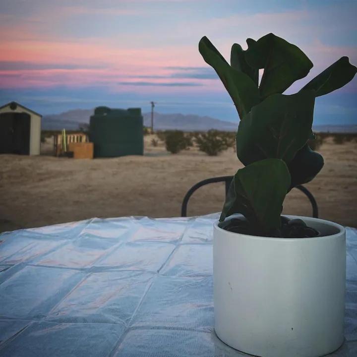 Serene Modern Home Backdoor With Great Wifi, Games, Movies, Patio Seating And Bbq Easy Access To North Joshua Tree National Park In 10 Minutes Twentynine Palms Exteriér fotografie